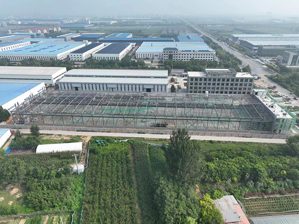 沧州三宇工程4.jpg
