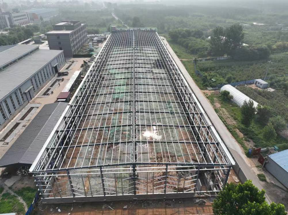 沧州三宇工程3.jpg